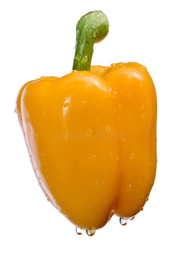 Orange pepper on isolated on white background. Orange pepper on isolated on white background