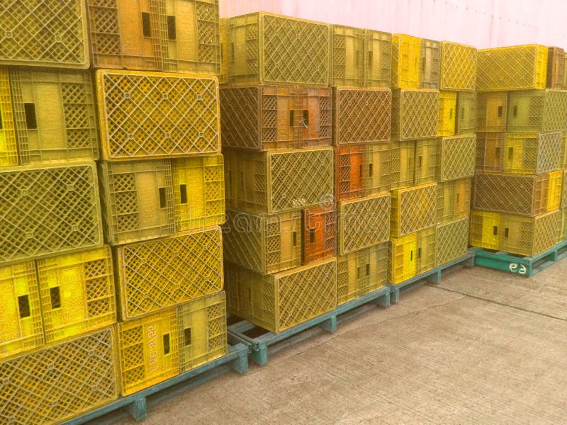 Yellow Plastic Basket Used in Agriculture. Stock Photo Image of