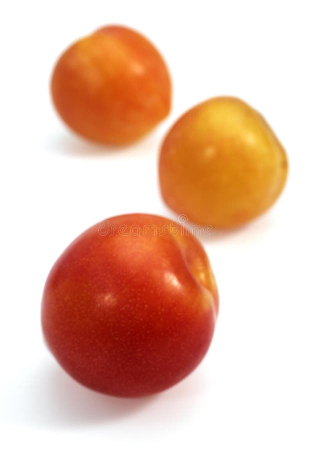 Yellow Plums, Fruits Against White Background Stock Image Image of