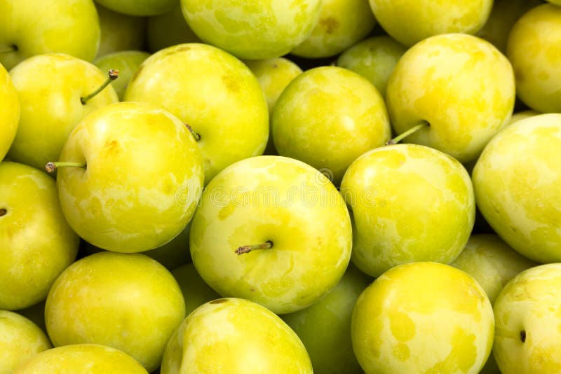 Yellow plums stock photo. Image of healthy, vitamin, ripe 32295246