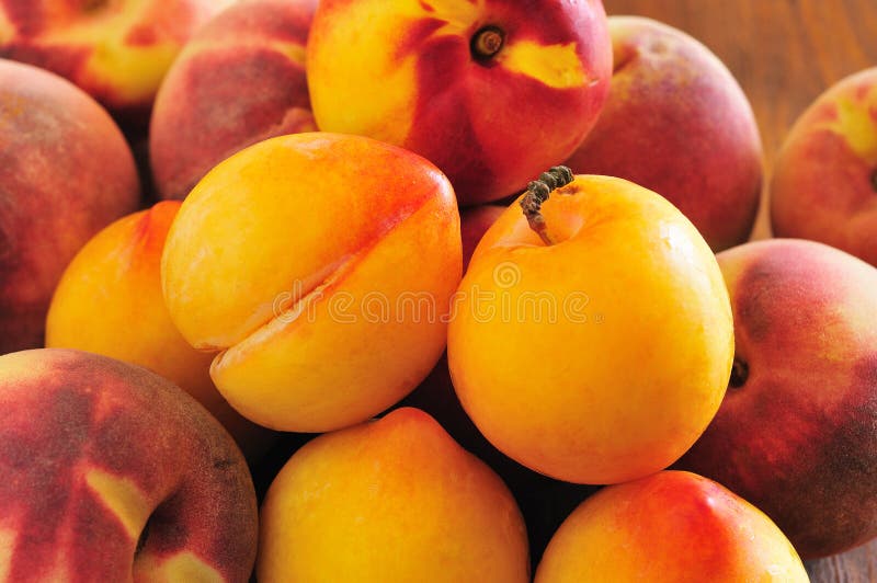 https://thumbs.dreamstime.com/b/yellow-plums-peaches-nectarines-26209130.jpg