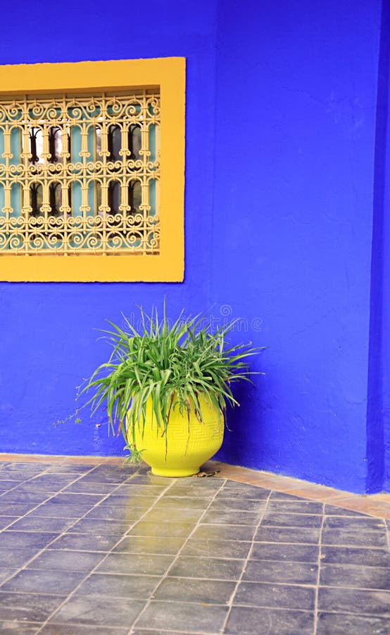 Yellow pot, blue wall