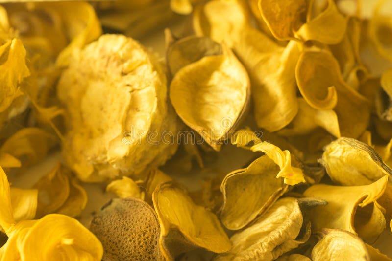 Yellow Potpourri Dried Plants and Flowers Stock Image Image of color