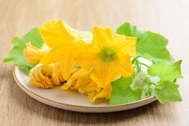 Yellow Pumpkin Flowers on Plate Stock Image Image of floral, plant