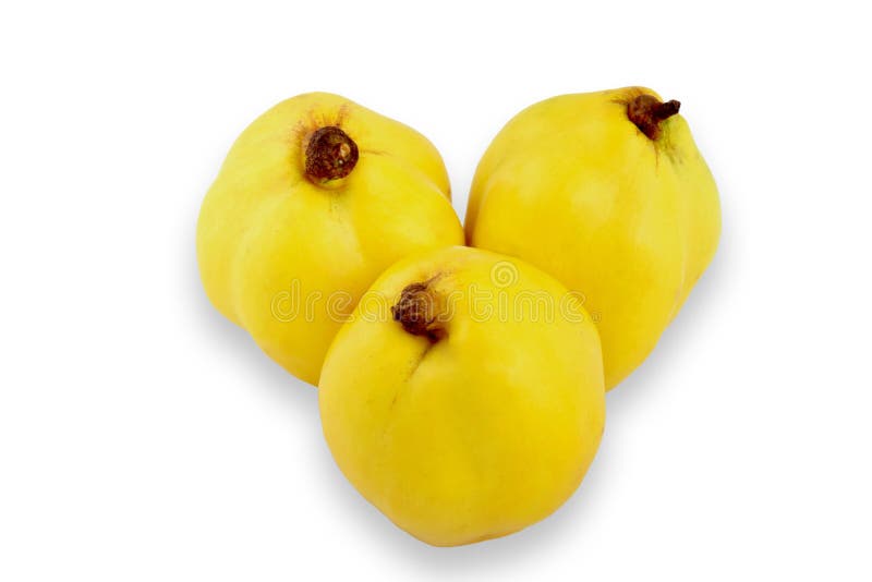 Yellow quince stock photo. Image of white, dessert, vegetarian 72774202