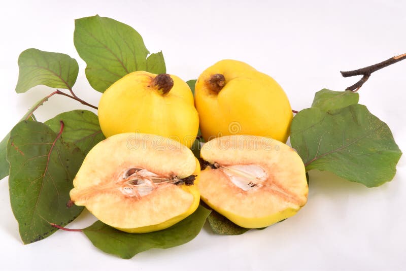 Yellow quince stock photo. Image of nutrient, group, healthy 72774238