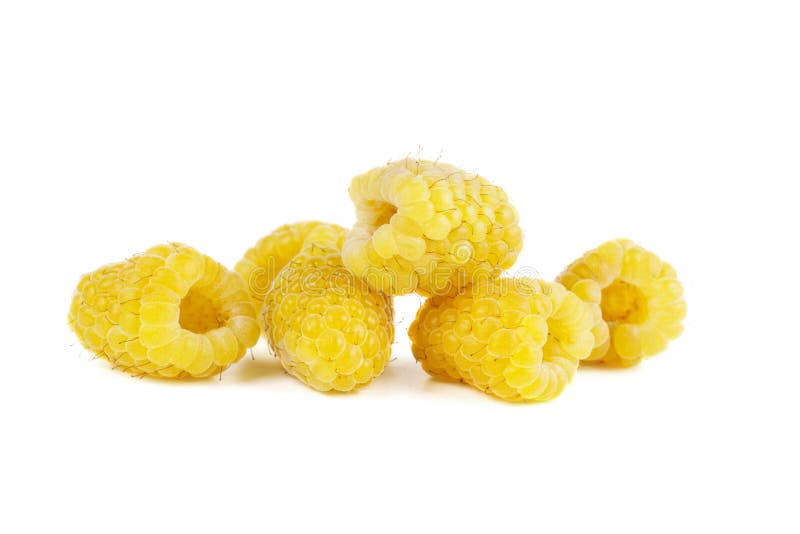 Yellow Raspberries Isolated Stock Image Image of harvest, fresh 152518867