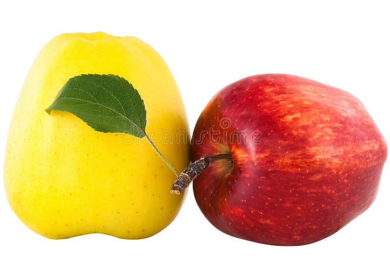 Yellow and red apple with green leaf