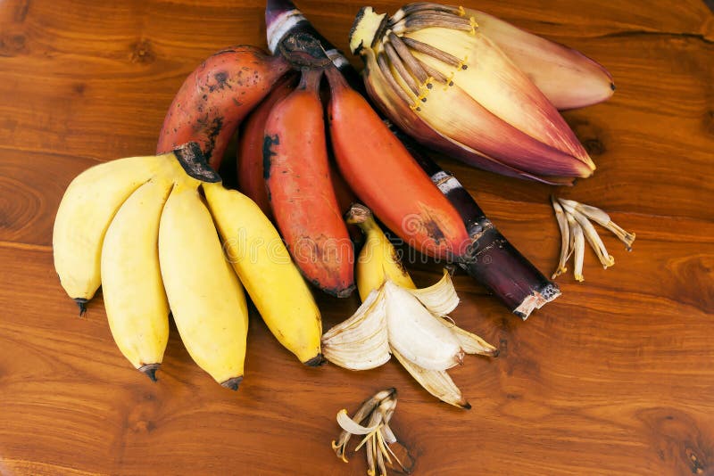 Yellow and red banana with banana flower and sugar reed stick royalty free stock image