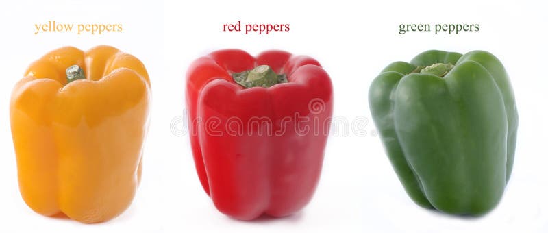 Yellow, Red, and Green Peppers