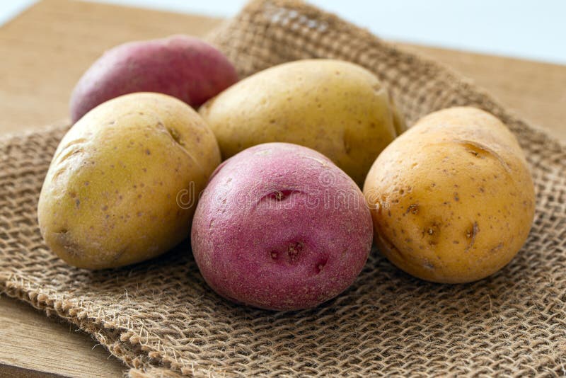Yellow and Red Potatoes on Gunny Sack Stock Photo Image of potatoes