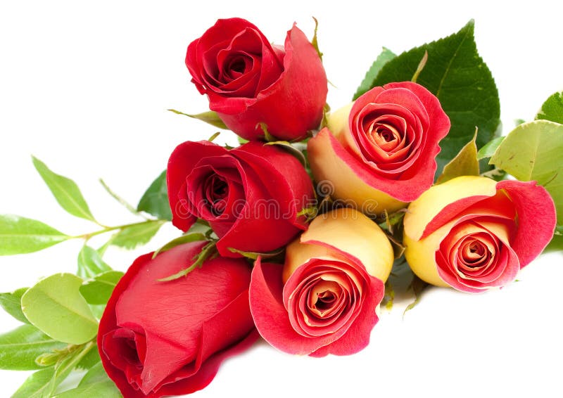 Yellow and red roses bouquet