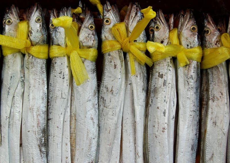 Yellow ribbon fish stock photo. Image of cured, food, yummy 8110336