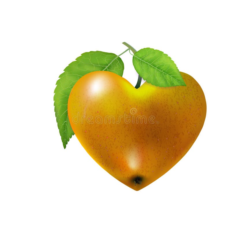 Yellow ripe apple heart isolated. Modern Valentines love. Beautiful fresh fruit. Vector illustration for advertising, packaging, b royalty free illustration
