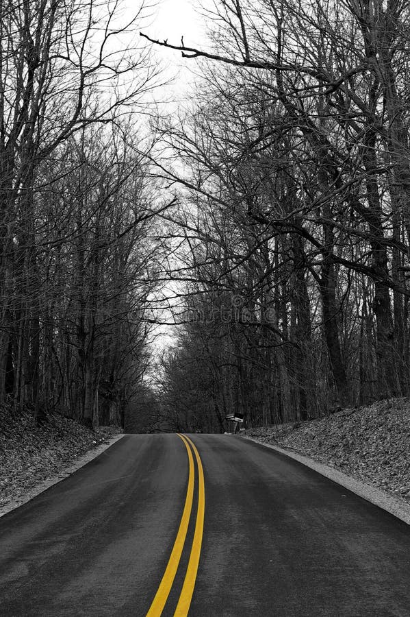 Yellow Road Free Stock Photos & Pictures, Yellow Road RoyaltyFree and