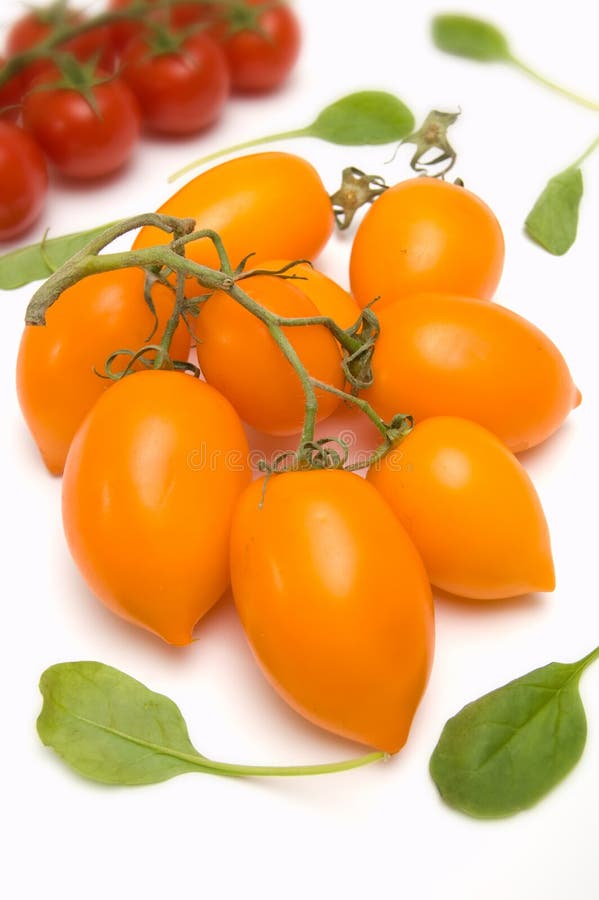 Yellow Roma Tomatoes On Vine Stock Photos Image 3895373
