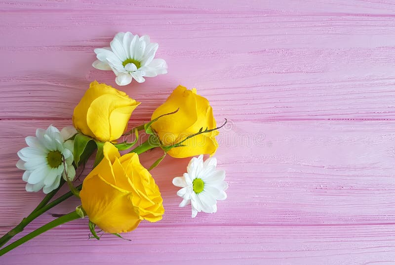 Yellow rose chrysanthemum frame vintage on pink wooden background