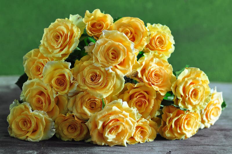 Yellow roses