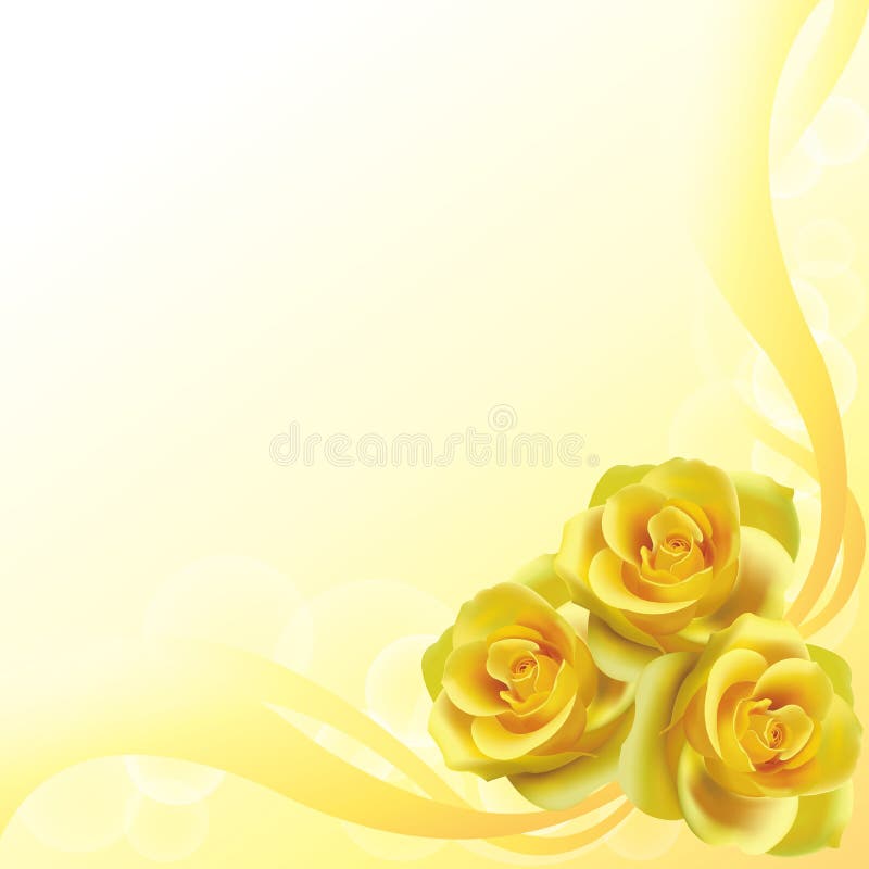 Yellow roses background