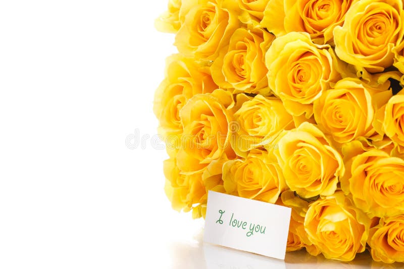 Yellow roses