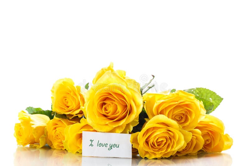 Yellow roses