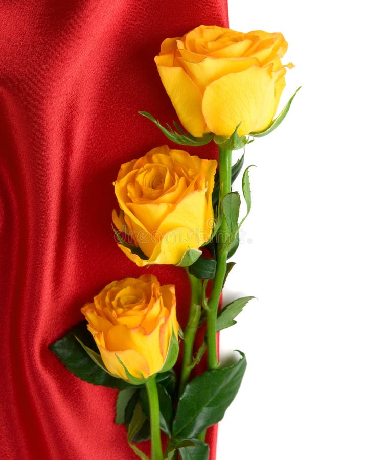 Yellow Roses on the Red Satin Stock Photo Image of arrangement, gift