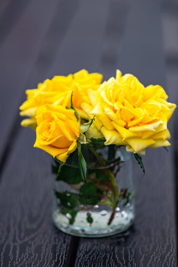 Yellow roses in a vase stock photo. Image of bouquet 180451396