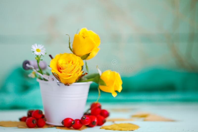 Yellow roses on a wooden table. An autumn background with copy space. Autumn still life.