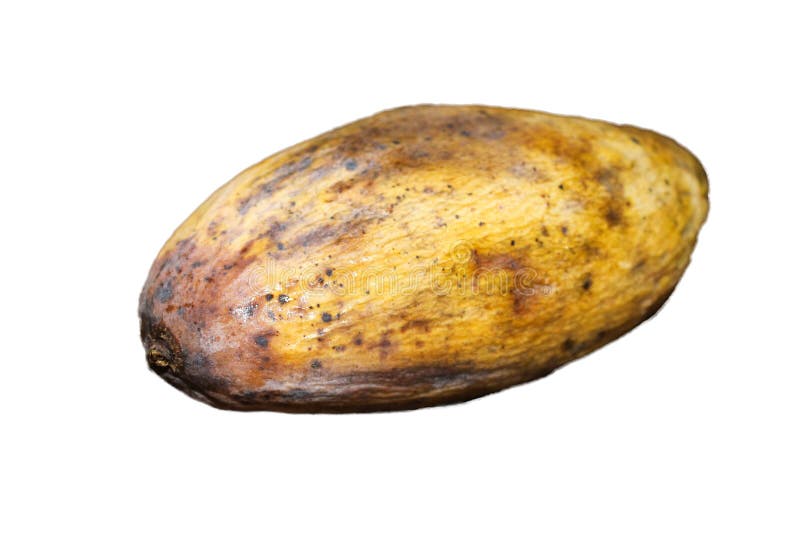 Rotten Mango