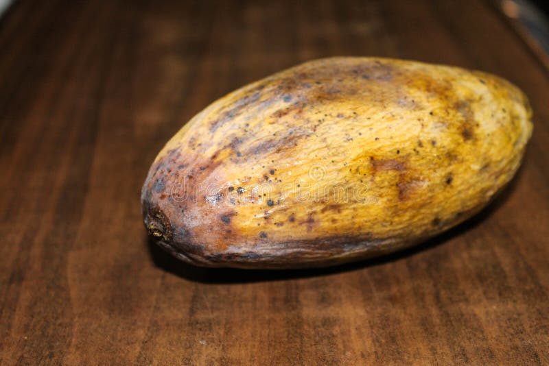 Yellow Rotten Mango Fruit Isolated on White Stock Photo - Image of object,  damaged: 81460752