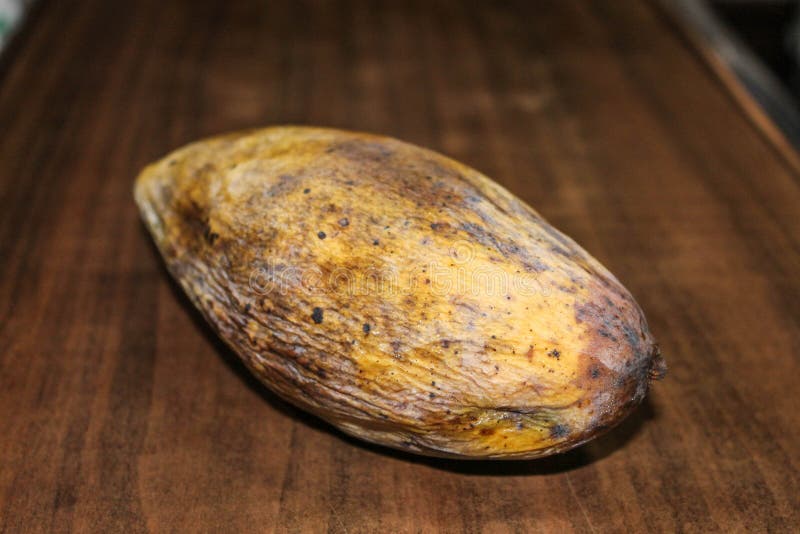 top view rotten mango close up on a grey background #AD , #rotten, #view,  #top, #mango, #background