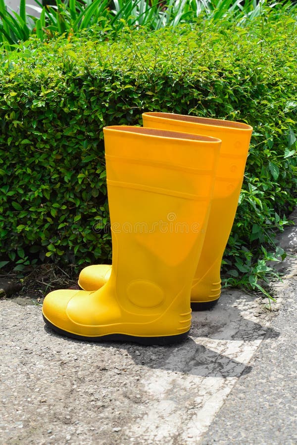 Yellow Rubber Boots in the Garden Stock Photo Image of isolated