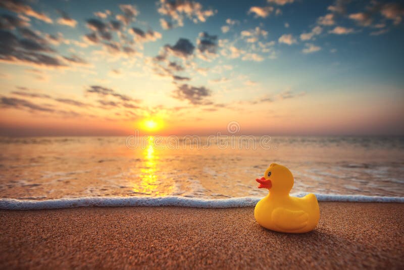 Yellow rubber duck toy on the beach during beautiful sea sunrise