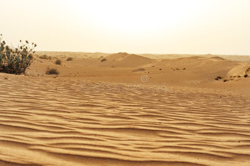 Yellow Sand Dunes in Dubai Desert for a Background Stock Image - Image of  brown, wallpaper: 220131567