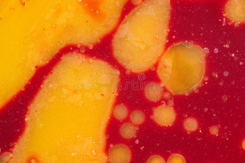 Yellow Spots on a Red Background. Mixed Natural Colors. Abstract Color
