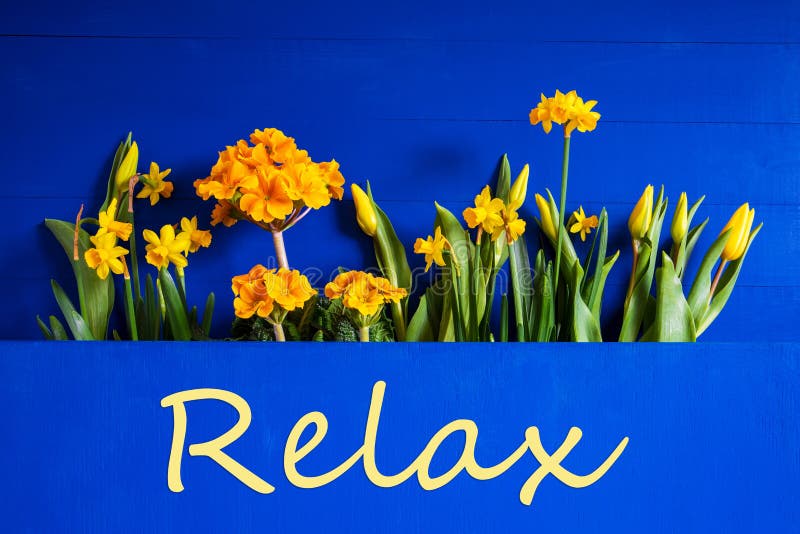 Yellow Spring Flowers, Tulip, Narcissus, Text Relax Stock Image - Image ...