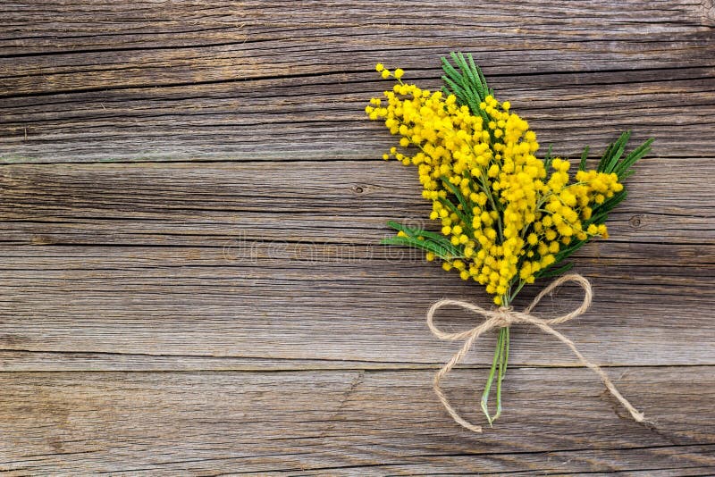 Yellow spring Mimosa bouquet with bow on a rustic wooden background with copyspace. Top view