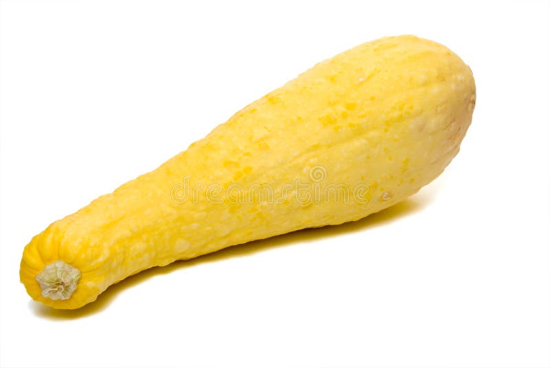 Yellow Squash stock photo. Image of produce, gourd, food 9827240