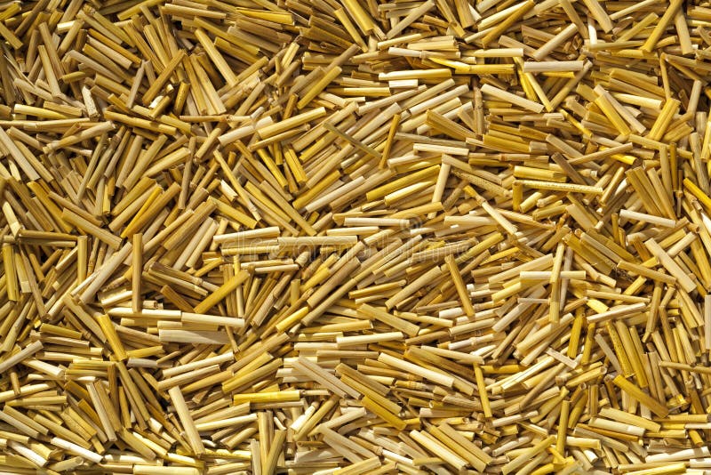 Yellow straw stock photo. Image of shape, dried, pieces 61307254