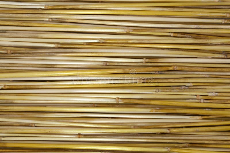 Yellow straw stock image. Image of dried, built, stripes 61308027