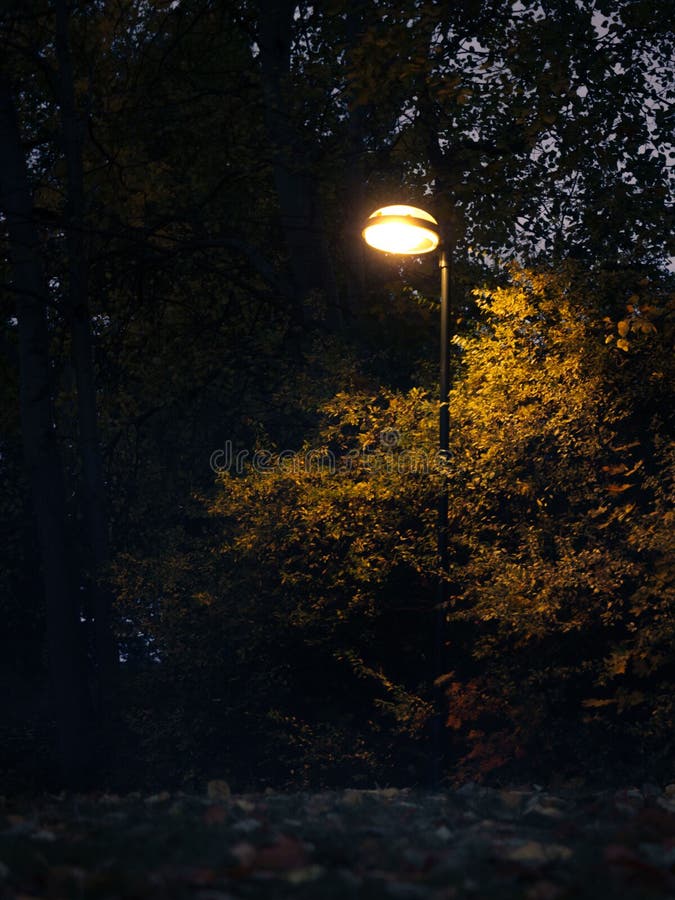 Yellow, Street Light in the Dark Park, Vertical Stock Photo Image of