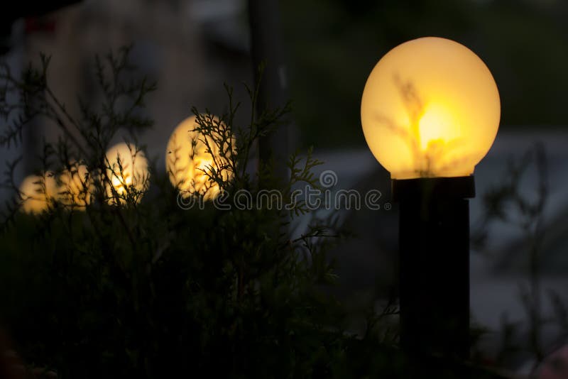 Yellow Street Lights in Dark Stock Photo Image of night, dusk 37049124