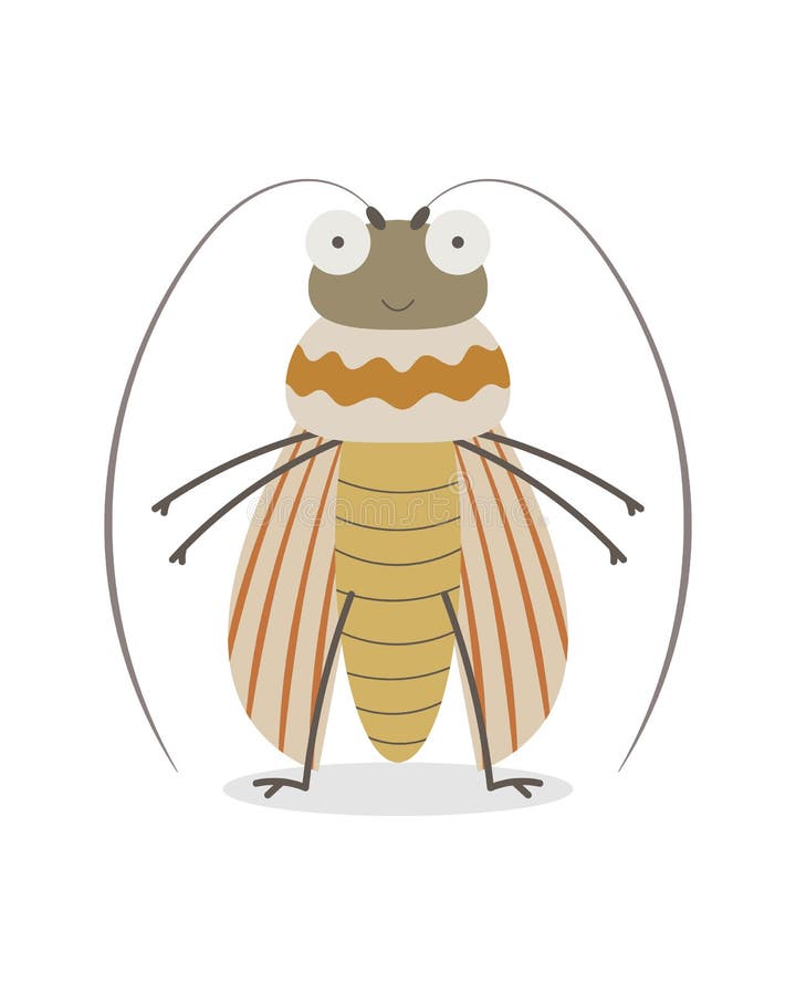 Cucumber Beetle Stock Illustrations 42 Cucumber Beetle Stock