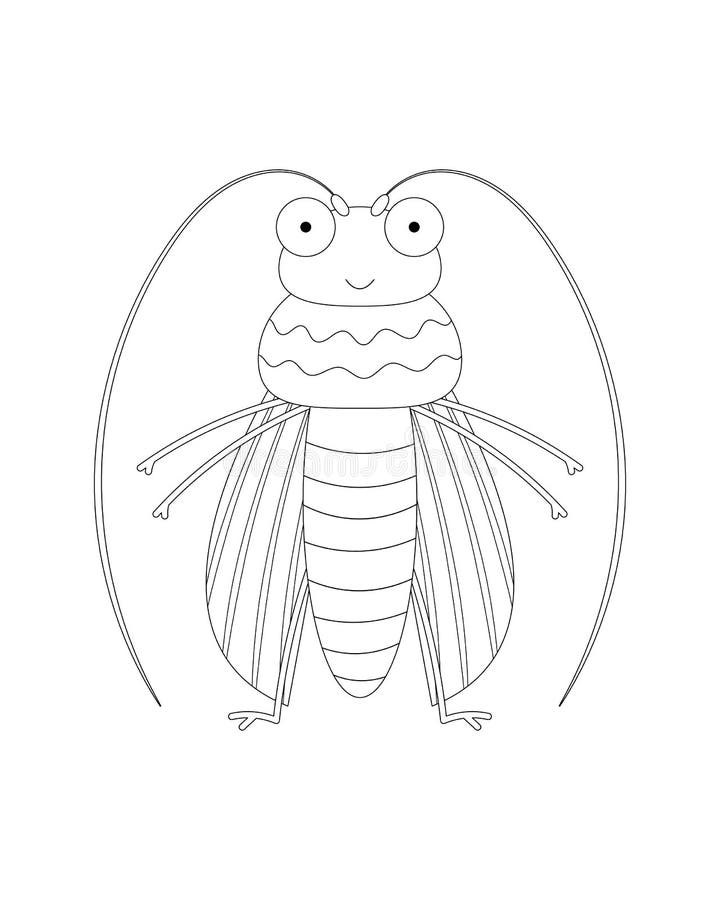 Cucumber Beetle Stock Illustrations 42 Cucumber Beetle Stock