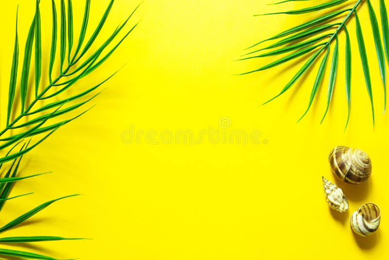 Yellow summer background with palm leaves-the theme of the beach, tropical holidays, hot sun. Frame, copy space