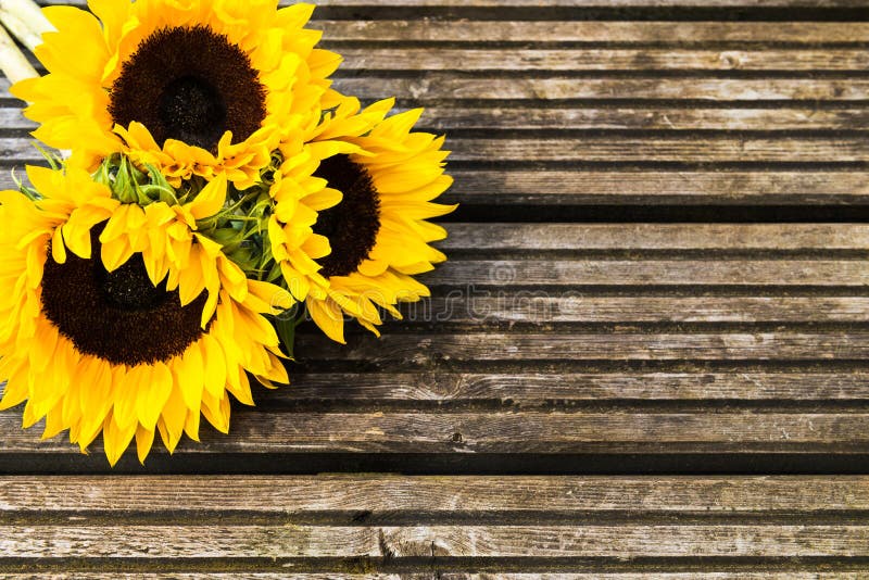 Yellow Sunflower Bouquet on Wooden Rustic Background stock photo.