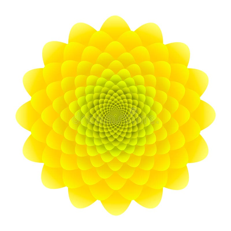 Yellow Sunflower inflorescence. Abstract floral pattern isolated on white background stock illustration Yellow Sunflower inflorescence. Abstract floral pattern isolated on white background stock illustration