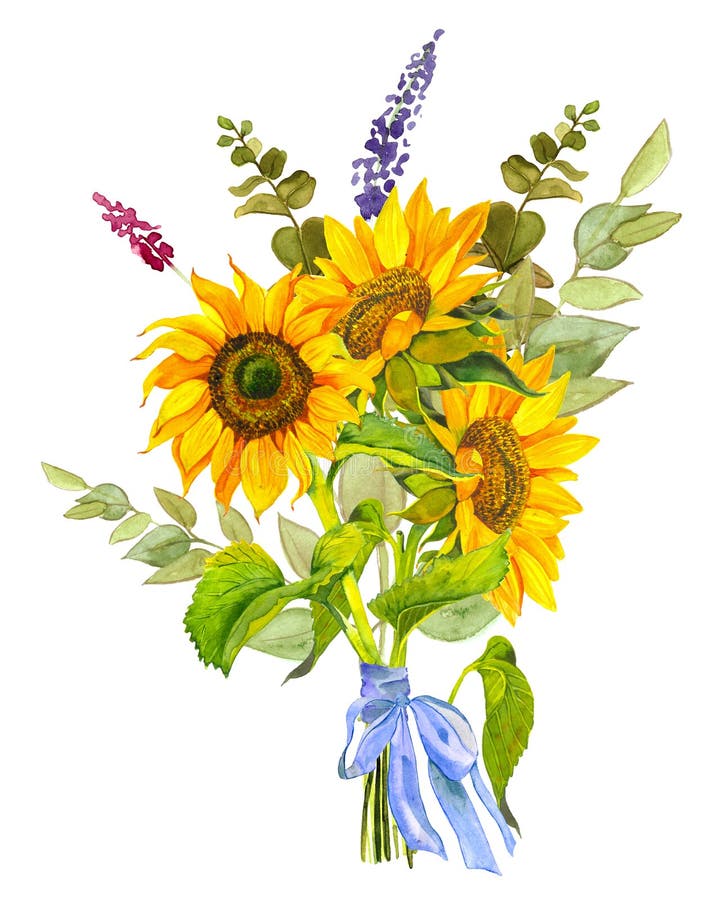 Yellow sunflower, watercolor on a white background. Sunshine, sunny flower