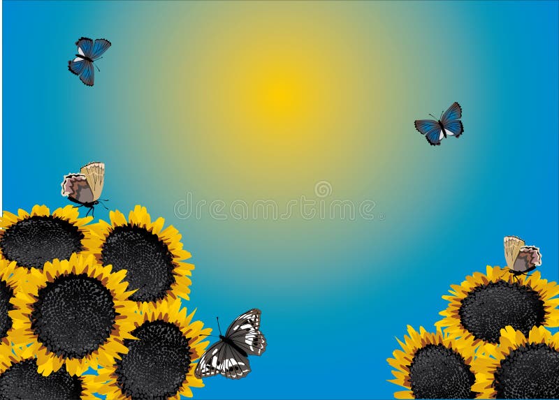 Yellow Sunflowers And Butterflies Illustration Picture. Image 15736399