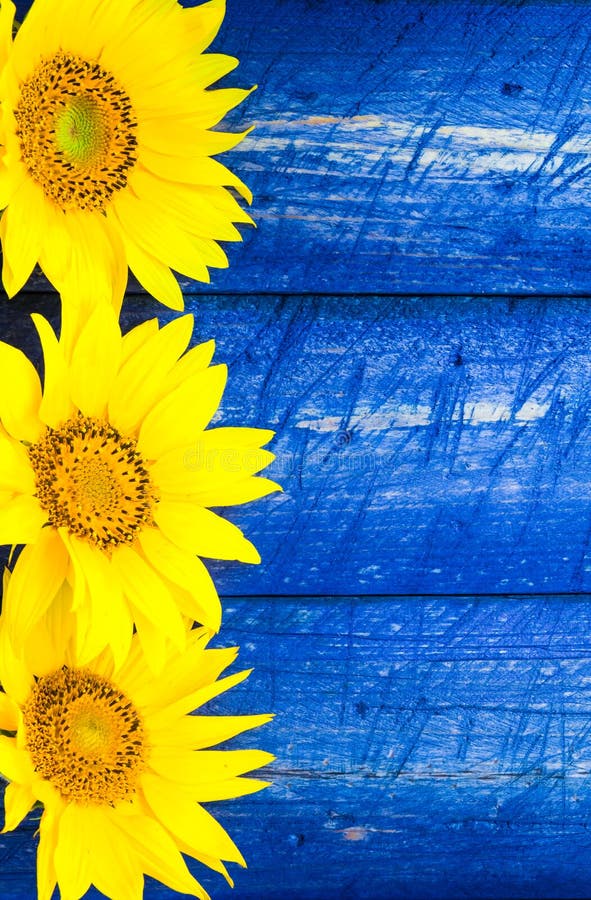 Yellow sunflowers painted fence